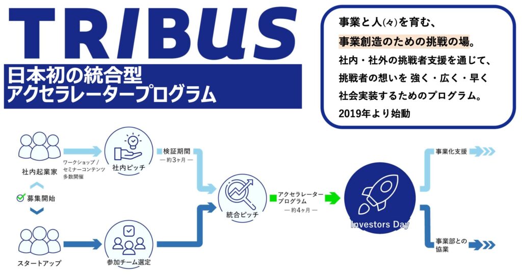 トライバスについての説明資料