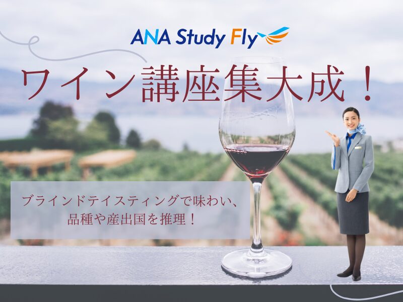 ANA STUDY FLYで実際に販売されているワインの講座